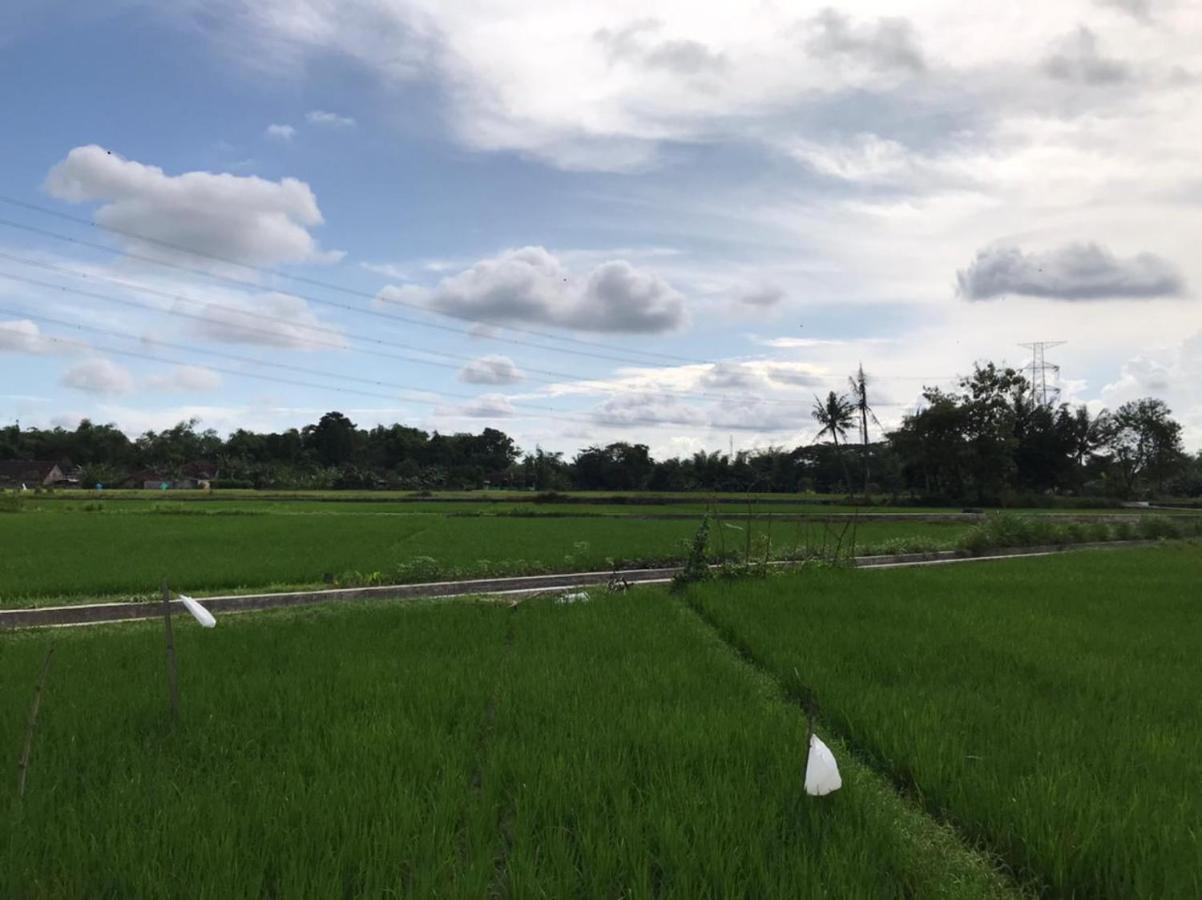 Legiyem Homestay Jogyakarta Zewnętrze zdjęcie